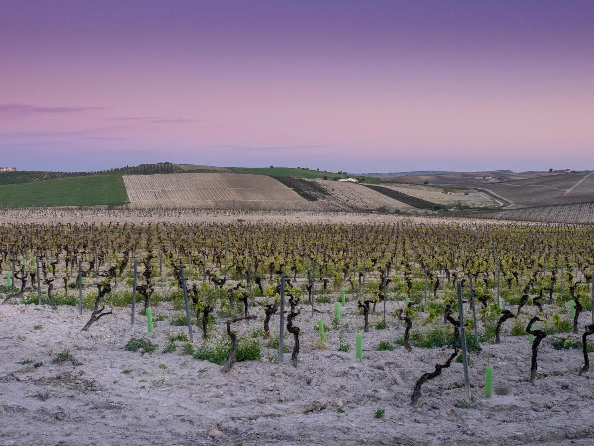 La Ermita Fjhomefj Jerez de la Frontera Exteriör bild
